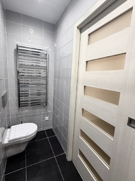 Pronájem bytu 3+1 v družstevním vlastnictví 75 m², Chomutov