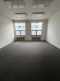 Pronájem obchodních prostor 36 m², Plzeň