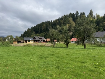 Prodej pozemku 4827 m², Nový Hrozenkov