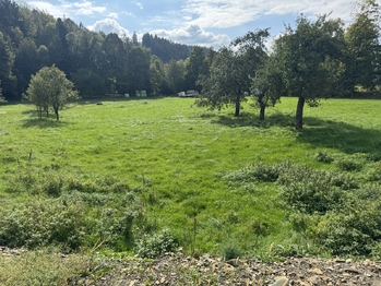 Prodej pozemku 4827 m², Nový Hrozenkov