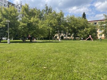 Pronájem bytu 1+kk v osobním vlastnictví 20 m², Mariánské Lázně