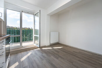 Pronájem bytu 1+1 v osobním vlastnictví 32 m², Praha 6 - Střešovice