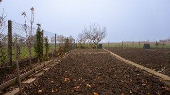 Prodej bytu 2+1 v družstevním vlastnictví 65 m², Křepice