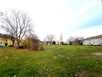 Pronájem bytu 4+1 v osobním vlastnictví 105 m², Milovice