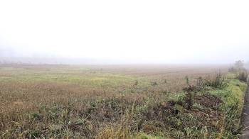 Prodej pozemku 3433 m², Pletený Újezd