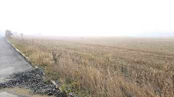 Prodej pozemku 3433 m², Pletený Újezd