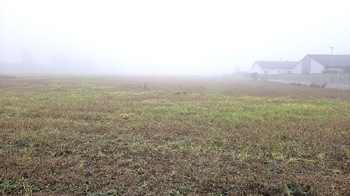 Prodej pozemku 3433 m², Pletený Újezd