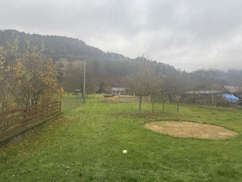 Prodej domu 313 m², Karolinka