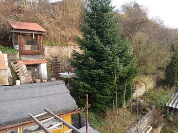 Prodej domu 128 m², Plasy