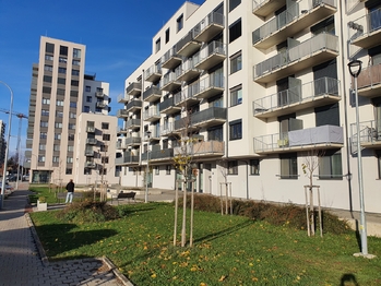 Pronájem bytu 1+kk v osobním vlastnictví 47 m², Brno