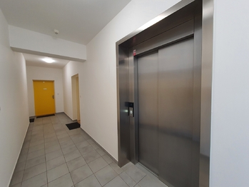 Pronájem bytu 1+kk v osobním vlastnictví 47 m², Brno