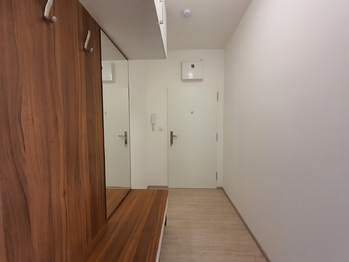 Pronájem bytu 1+kk v osobním vlastnictví 47 m², Brno