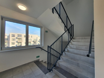 Pronájem bytu 1+kk v osobním vlastnictví 47 m², Brno