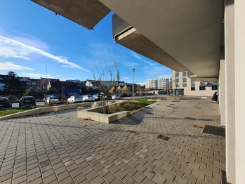 Pronájem bytu 1+kk v osobním vlastnictví 47 m², Brno