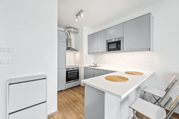 Prodej bytu 2+kk v osobním vlastnictví 58 m², Praha 7 - Holešovice