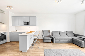 Prodej bytu 2+kk v osobním vlastnictví 58 m², Praha 7 - Holešovice