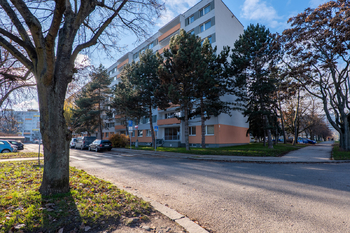 Prodej bytu 1+1 v osobním vlastnictví 34 m², Praha 8 - Střížkov