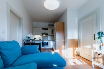 Prodej bytu 2+kk v osobním vlastnictví 48 m², Praha 3 - Žižkov