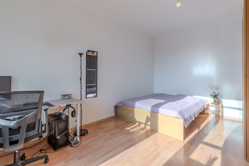 Prodej bytu 2+kk v osobním vlastnictví 48 m², Praha 3 - Žižkov