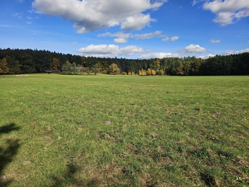 Prodej pozemku 73573 m², Nová Ves