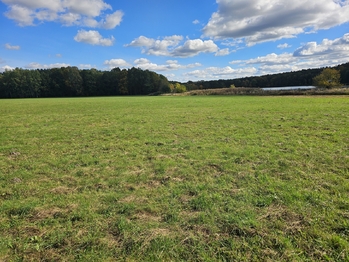 Prodej pozemku 73573 m², Nová Ves