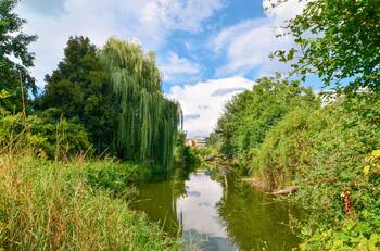 Okolí bytového domu - Pronájem bytu 2+kk v osobním vlastnictví 53 m², Břeclav
