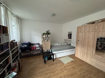 Pronájem bytu 1+1 v osobním vlastnictví 41 m², Brno