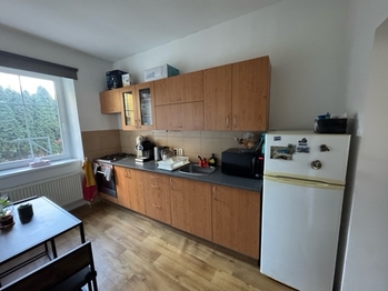Pronájem bytu 1+1 v osobním vlastnictví 41 m², Brno
