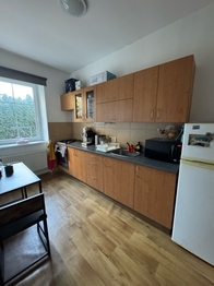 Pronájem bytu 1+1 v osobním vlastnictví 41 m², Brno