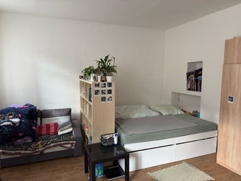 Pronájem bytu 1+1 v osobním vlastnictví 41 m², Brno