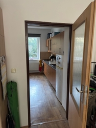 Pronájem bytu 1+1 v osobním vlastnictví 41 m², Brno