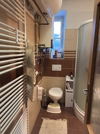 Pronájem bytu 1+1 v osobním vlastnictví 41 m², Brno