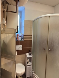 Pronájem bytu 1+1 v osobním vlastnictví 41 m², Brno