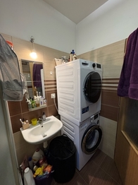 Pronájem bytu 1+1 v osobním vlastnictví 41 m², Brno