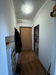 Pronájem bytu 1+1 v osobním vlastnictví 41 m², Brno