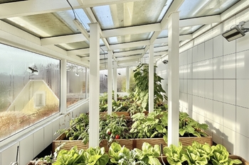 Prodej domu 650 m², Svinaře