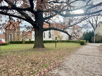 Prodej bytu 2+kk v osobním vlastnictví 76 m², Brno