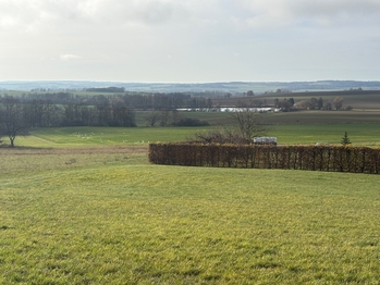 Prodej pozemku 3521 m², Vračovice-Orlov