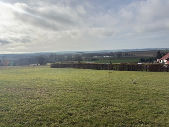 Prodej pozemku 3521 m², Vračovice-Orlov