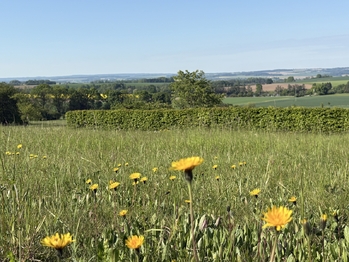 Prodej pozemku 3521 m², Vračovice-Orlov