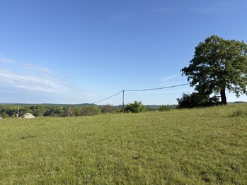 Prodej pozemku 3521 m², Vračovice-Orlov
