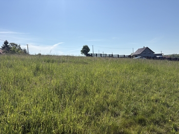 Prodej pozemku 3521 m², Vračovice-Orlov