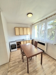 Prodej bytu 1+1 v osobním vlastnictví 39 m², Prachatice