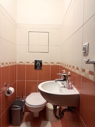 Pronájem bytu 2+kk v osobním vlastnictví 51 m², Karlovy Vary