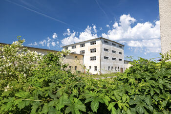 Prodej pozemku 8581 m², Potštejn