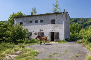 Prodej pozemku 8581 m², Potštejn