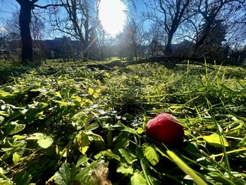 Prodej pozemku 1608 m², Podolí