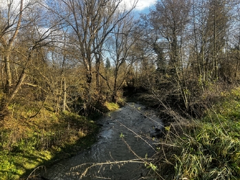 Prodej pozemku 1608 m², Podolí