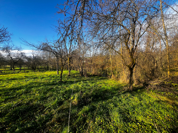 Prodej pozemku 1608 m², Podolí