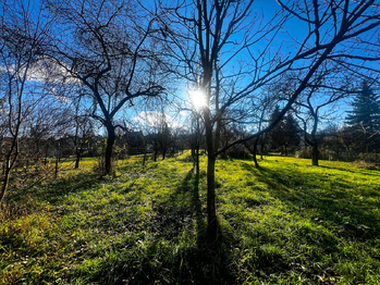 Prodej pozemku 1608 m², Podolí